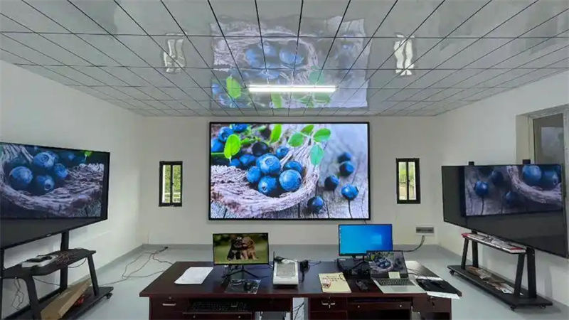 LED滚屏软件推荐与使用指南